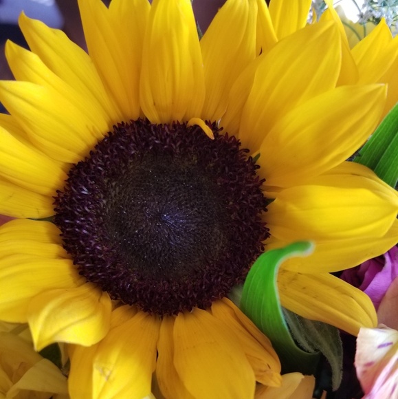 MEET YOUR POSHER!!! - Picture 3 of 8